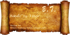 Babály Tibor névjegykártya